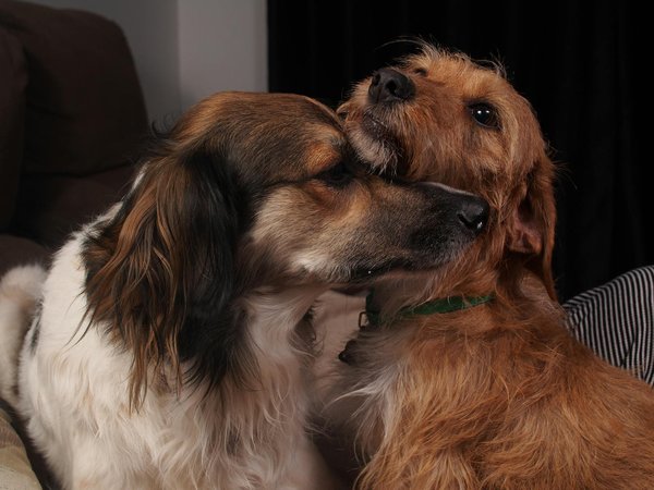 What Future Innovations Can We Expect from the UK Tech Industry?